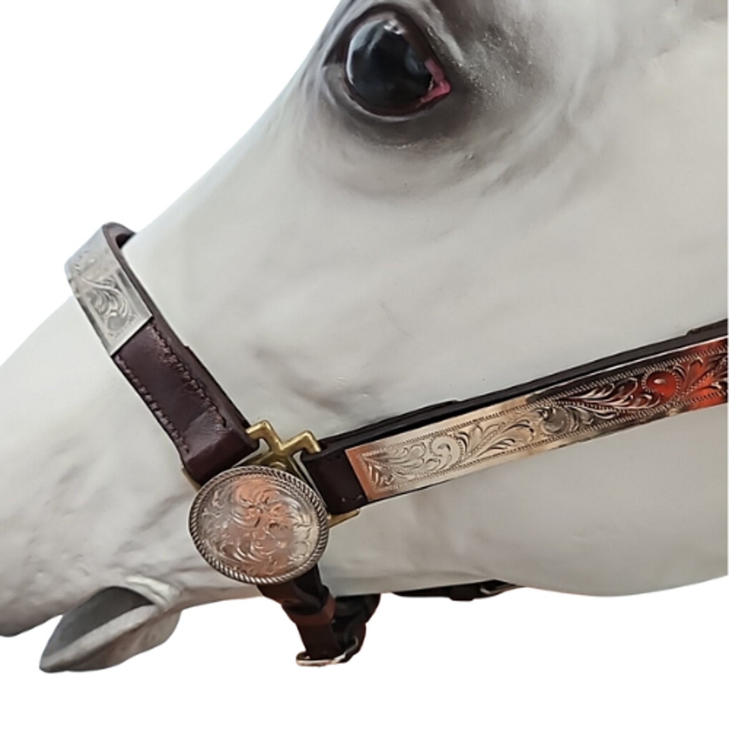 Circle Y Western Silver Show Halter #602 Average Horse Size