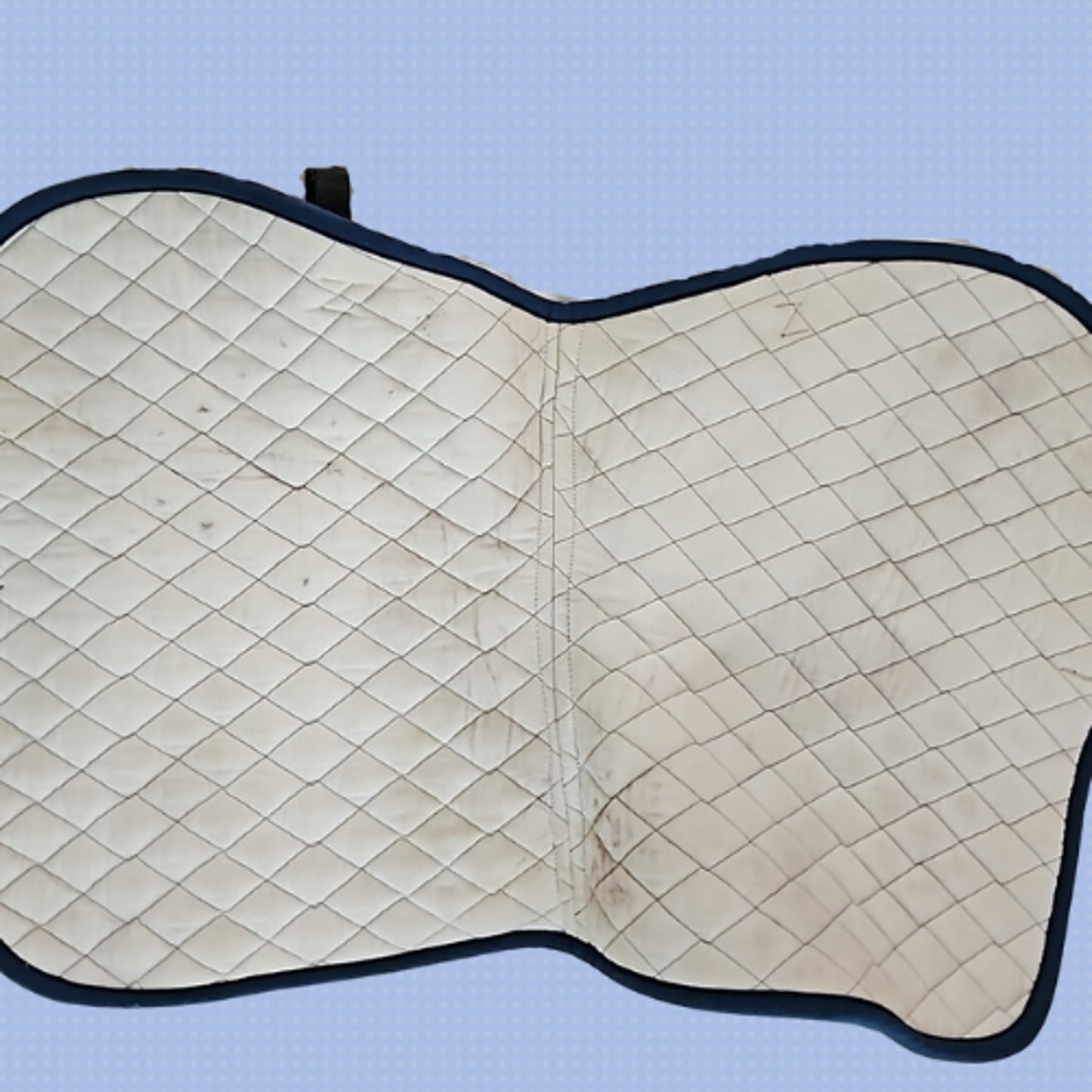 State Line All Purpose English Saddle Pad Blue Horse Size USED