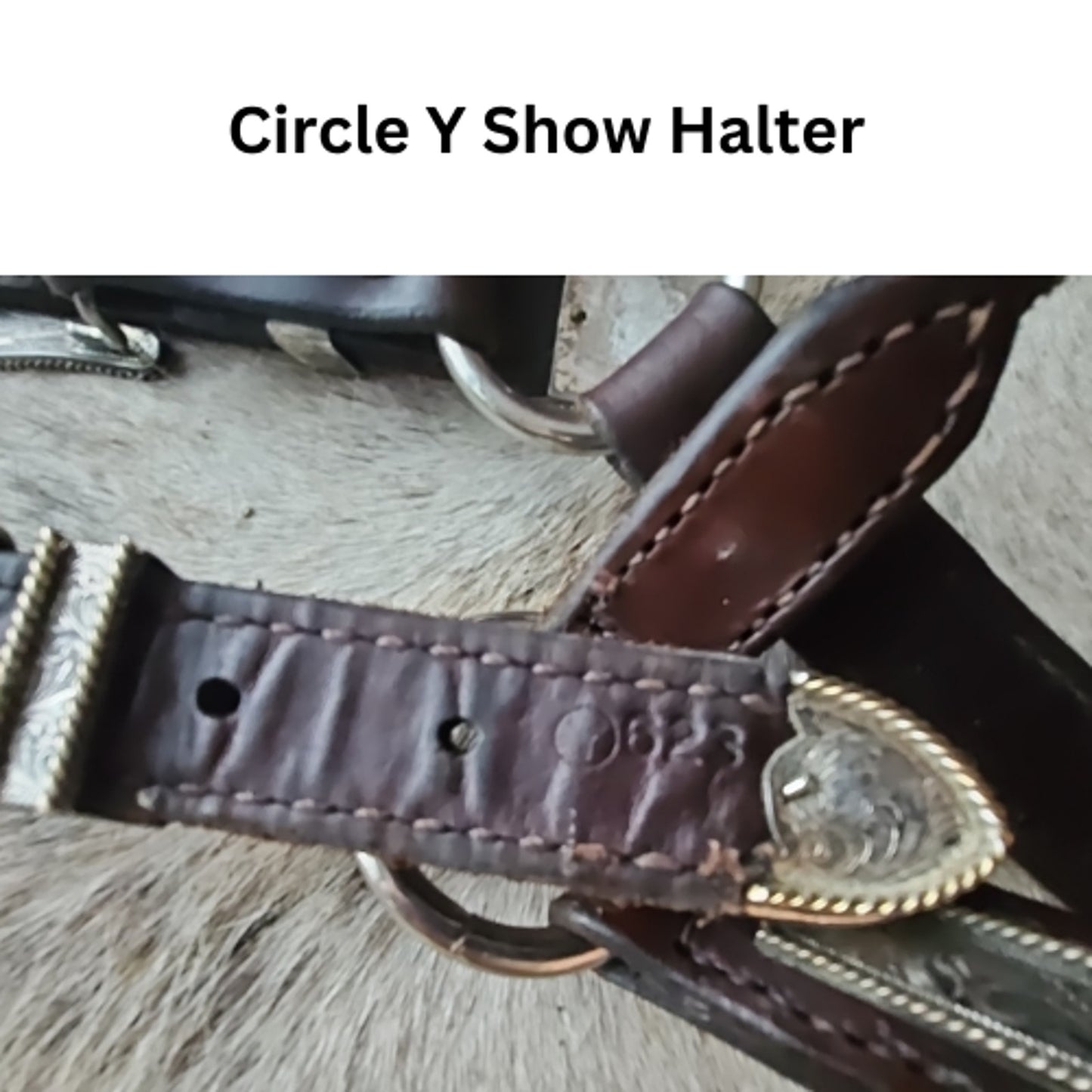 Circle Y Silver Show Halter Horse Size Dark Oil USED