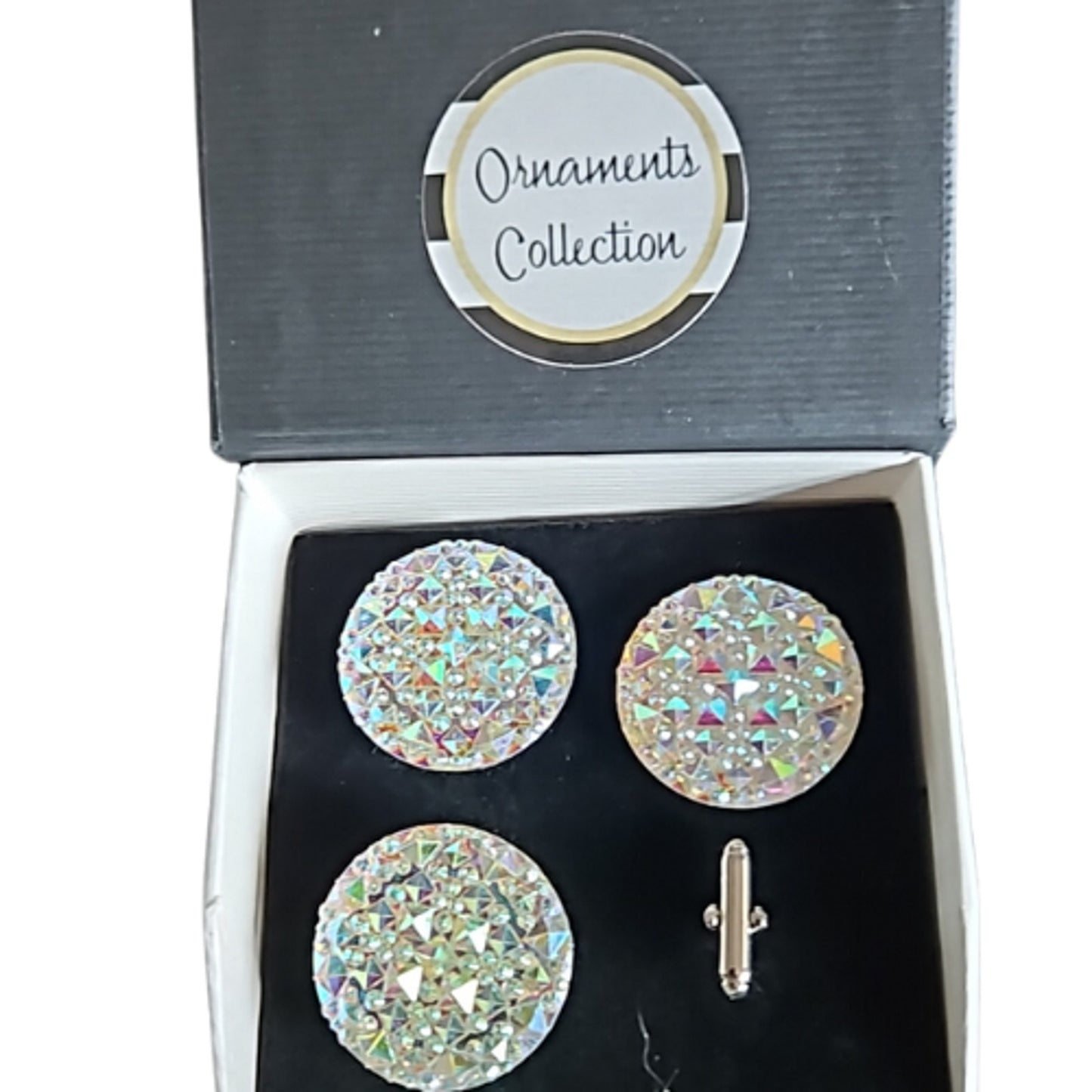 Blanket Pin Number Holder Horse Show Number Set Aurora Borealis