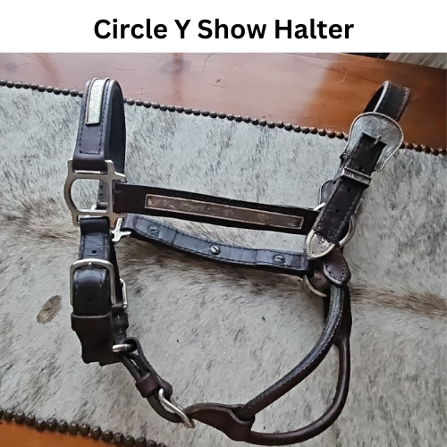 Circle Y Silver Show Halter Horse Size Dark Oil USED