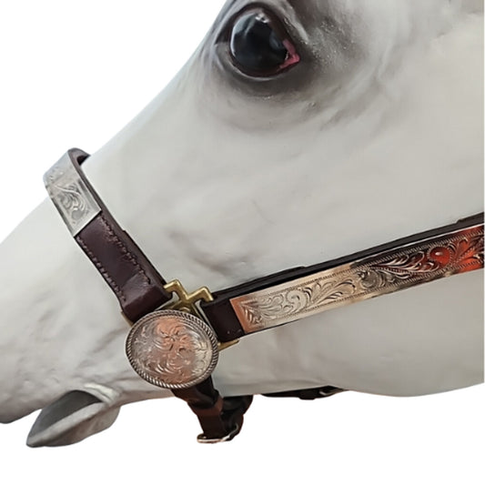Circle Y Western Silver Show Halter #602 Average Horse Size