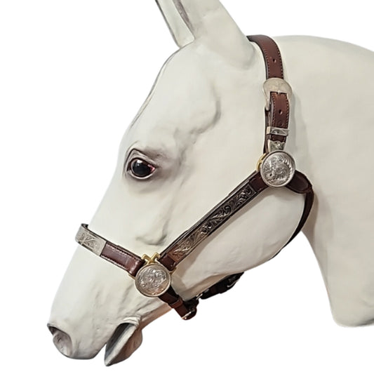 Circle Y Western Silver Show Halter #602 Average Horse Size