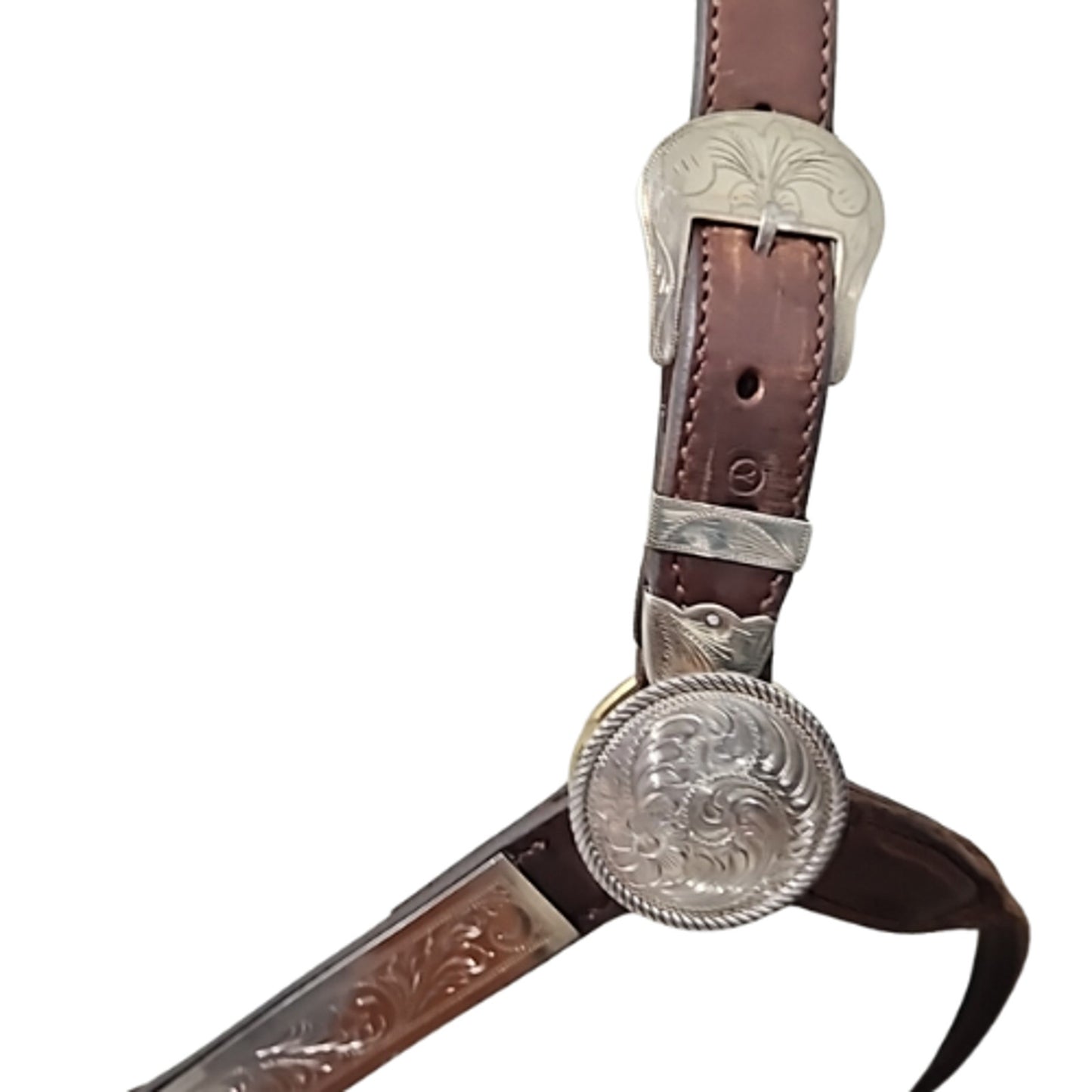 Circle Y Western Silver Show Halter #602 Average Horse Size