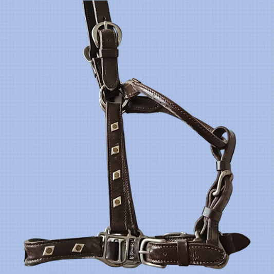 Vintage Billy Royal North and Judd Buckles Show Halter Horse Size