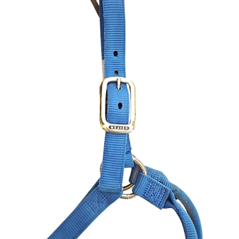 Weaver Large Pony Small Horse Blue Nylon Halter