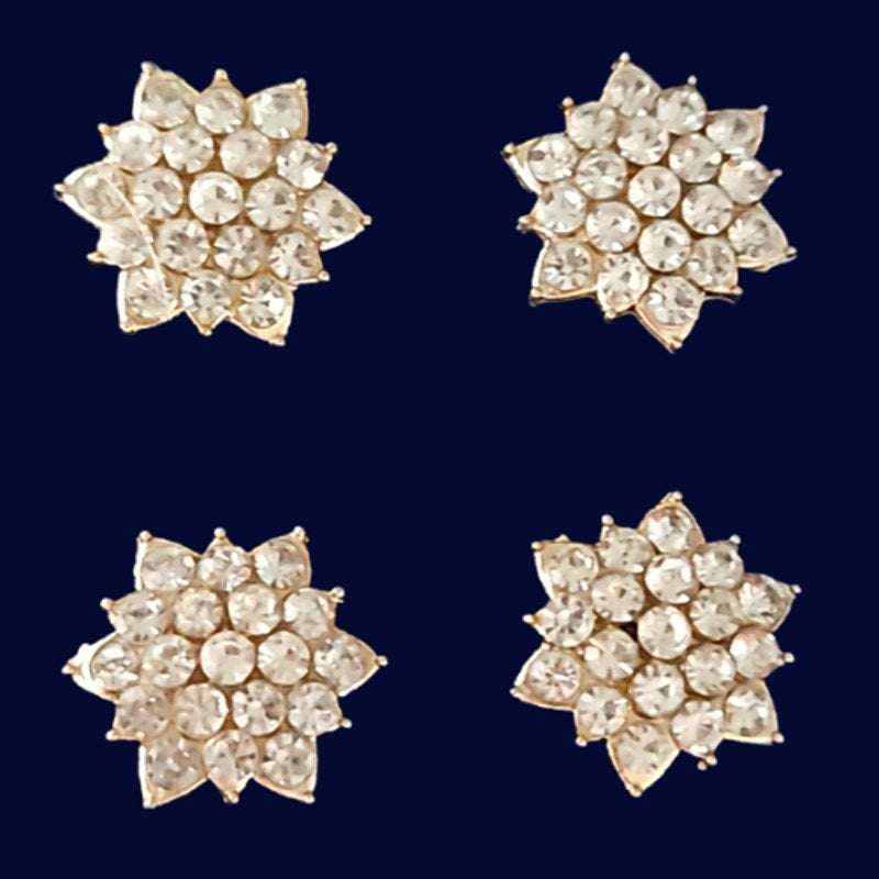 Magnetic Horse Show Number Pins North Star Concho Set of 4 NEW