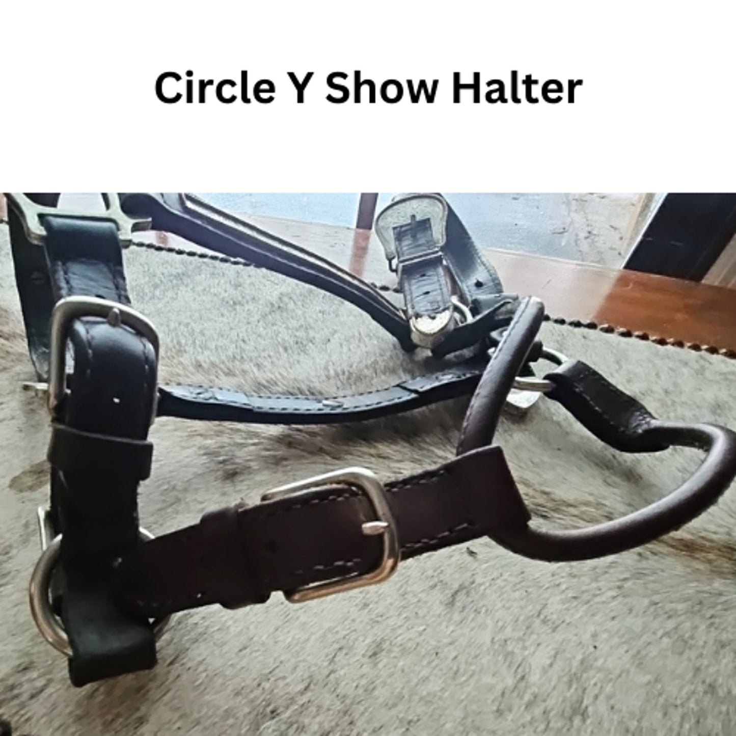 Circle Y Silver Show Halter Horse Size Dark Oil USED
