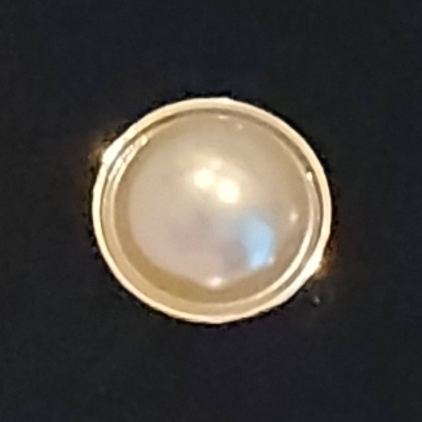 Magnetic Horse Show Number Pins Precious Pearl Concho Set of 4 NEW