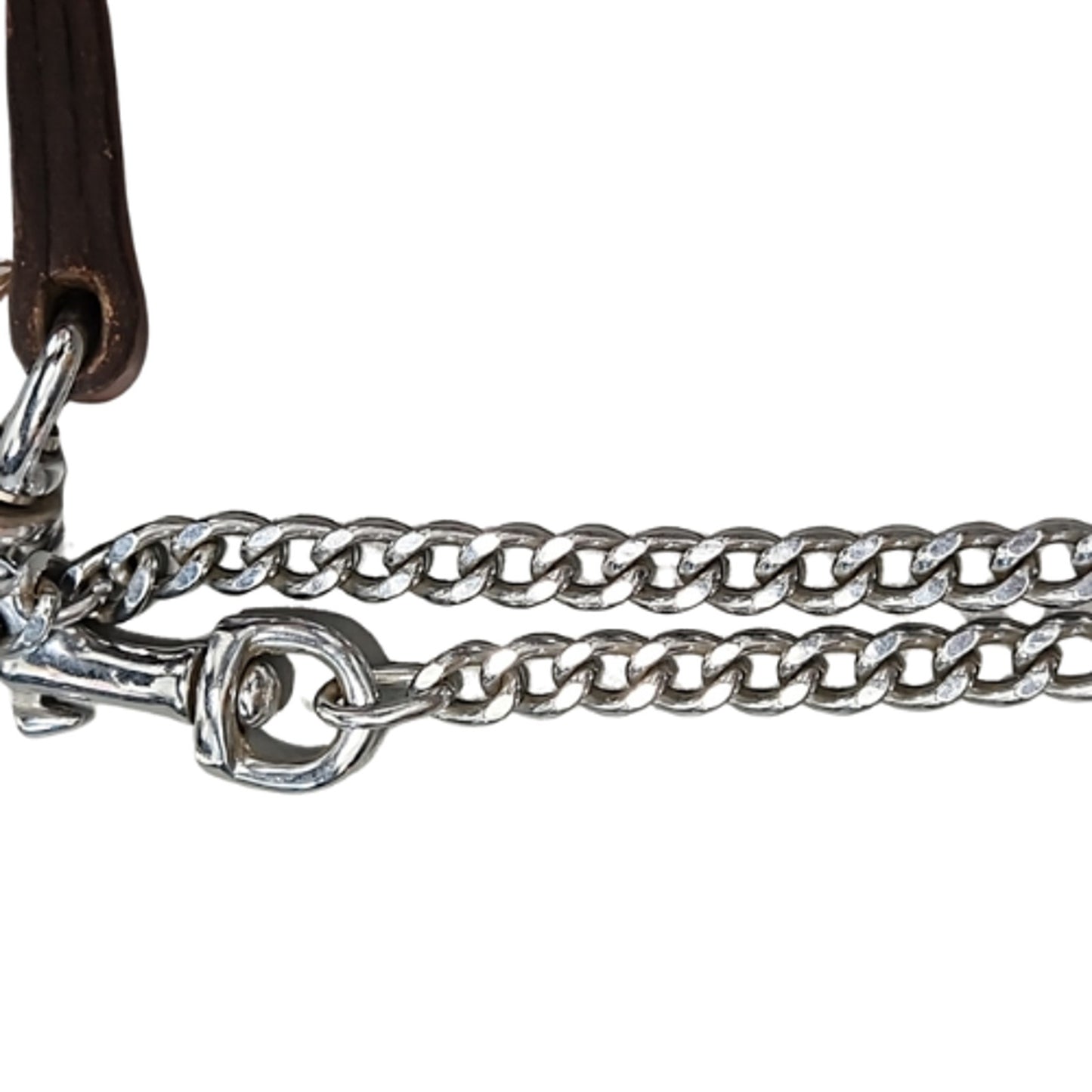 Kathy's Sterling Silver Overlay Weanling Western Show Halter with Tory Lead