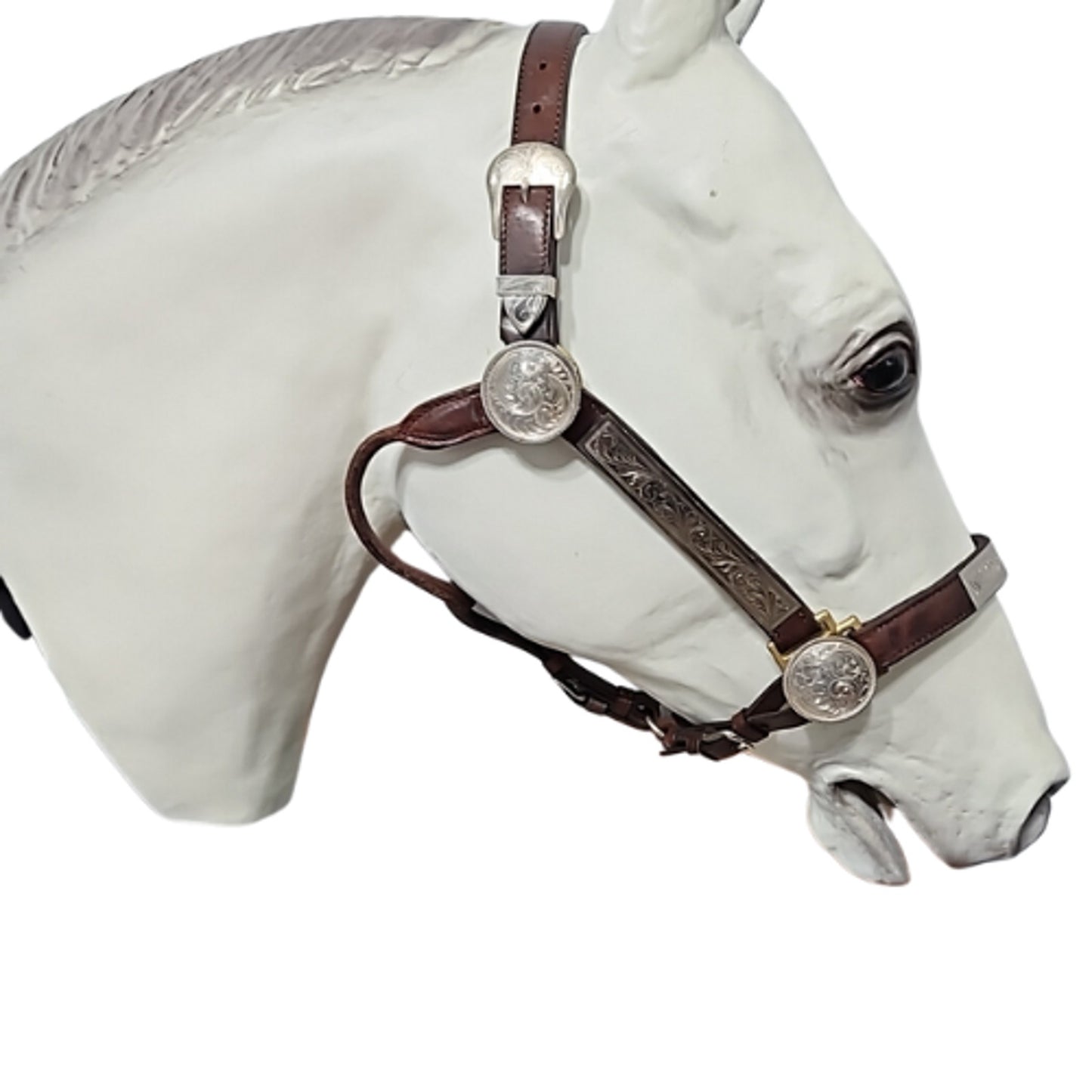 Circle Y Western Silver Show Halter #602 Average Horse Size