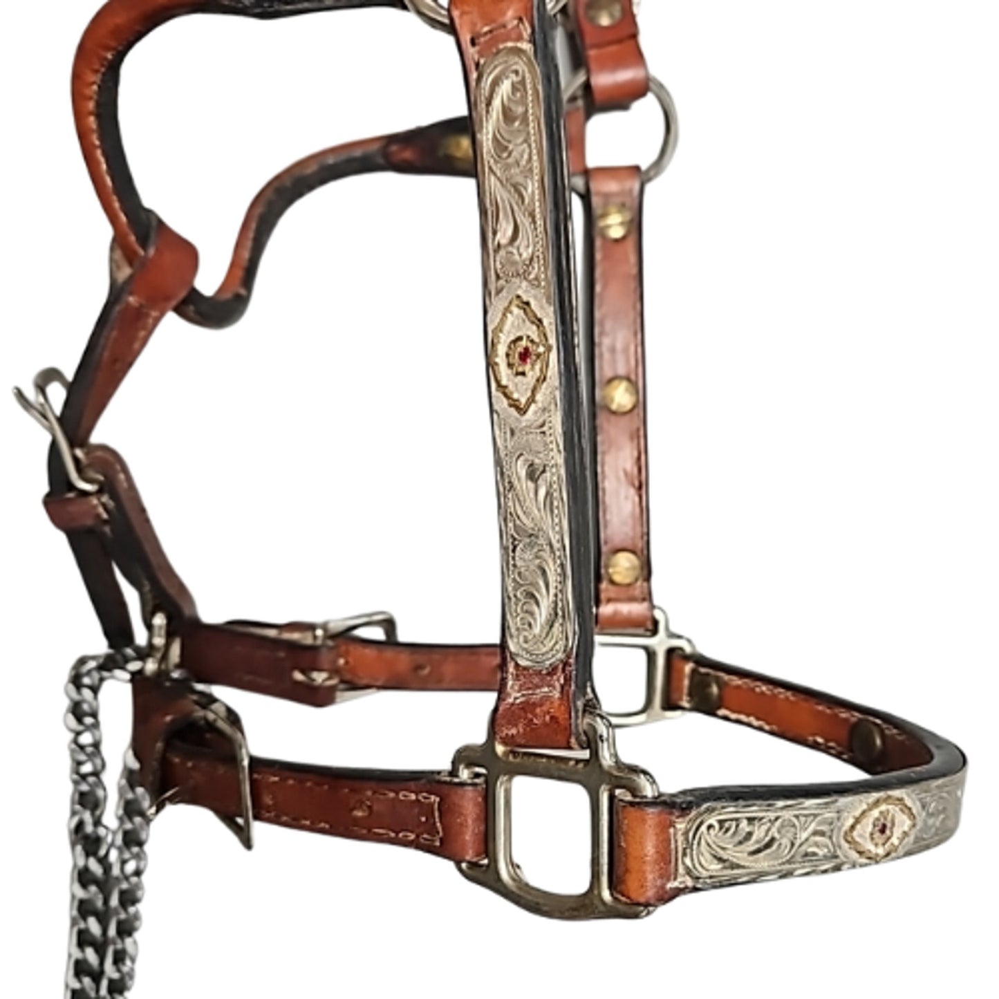 Kathy's Sterling Silver Overlay Weanling Western Show Halter with Tory Lead