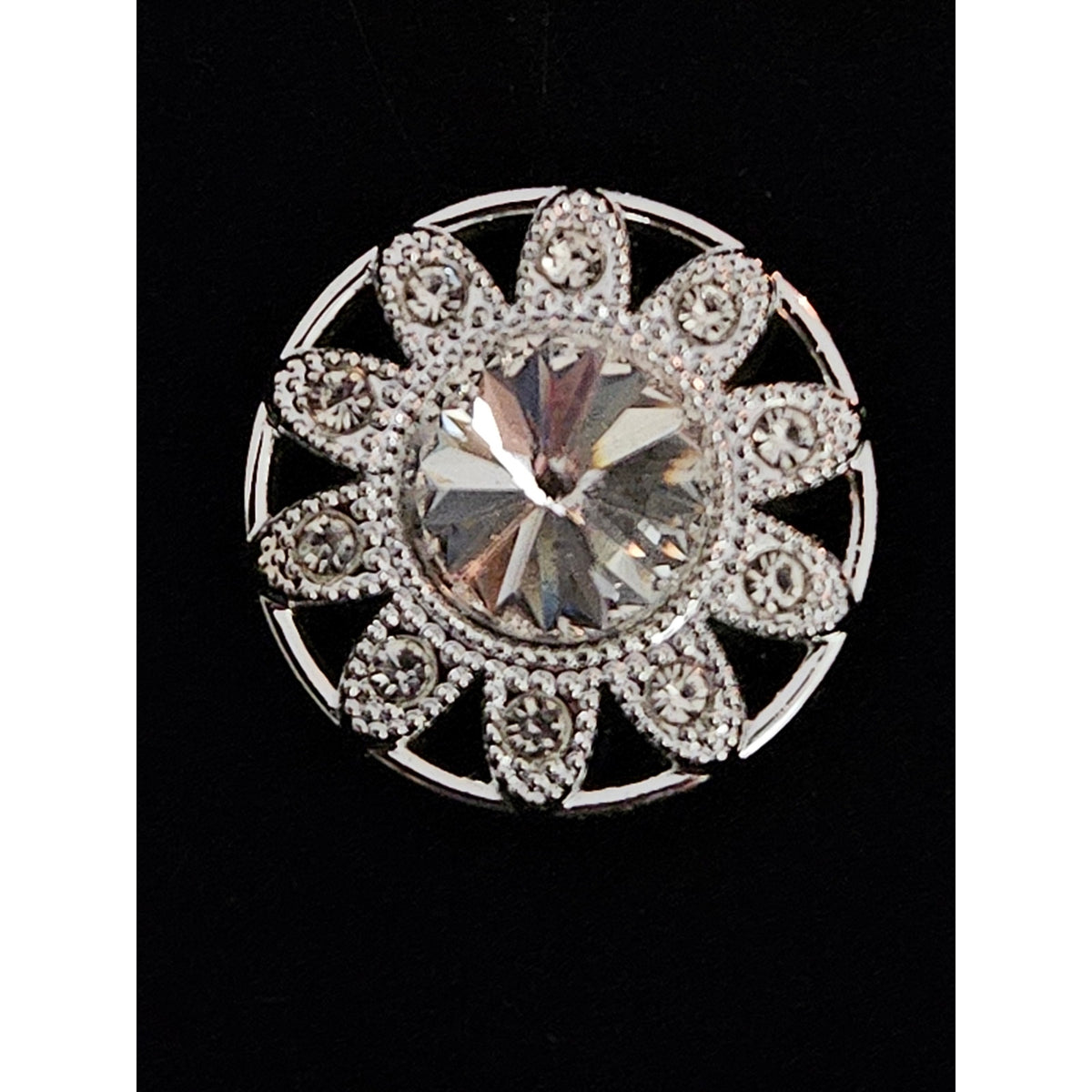Magnetic Horse Show Number Pins Radiance