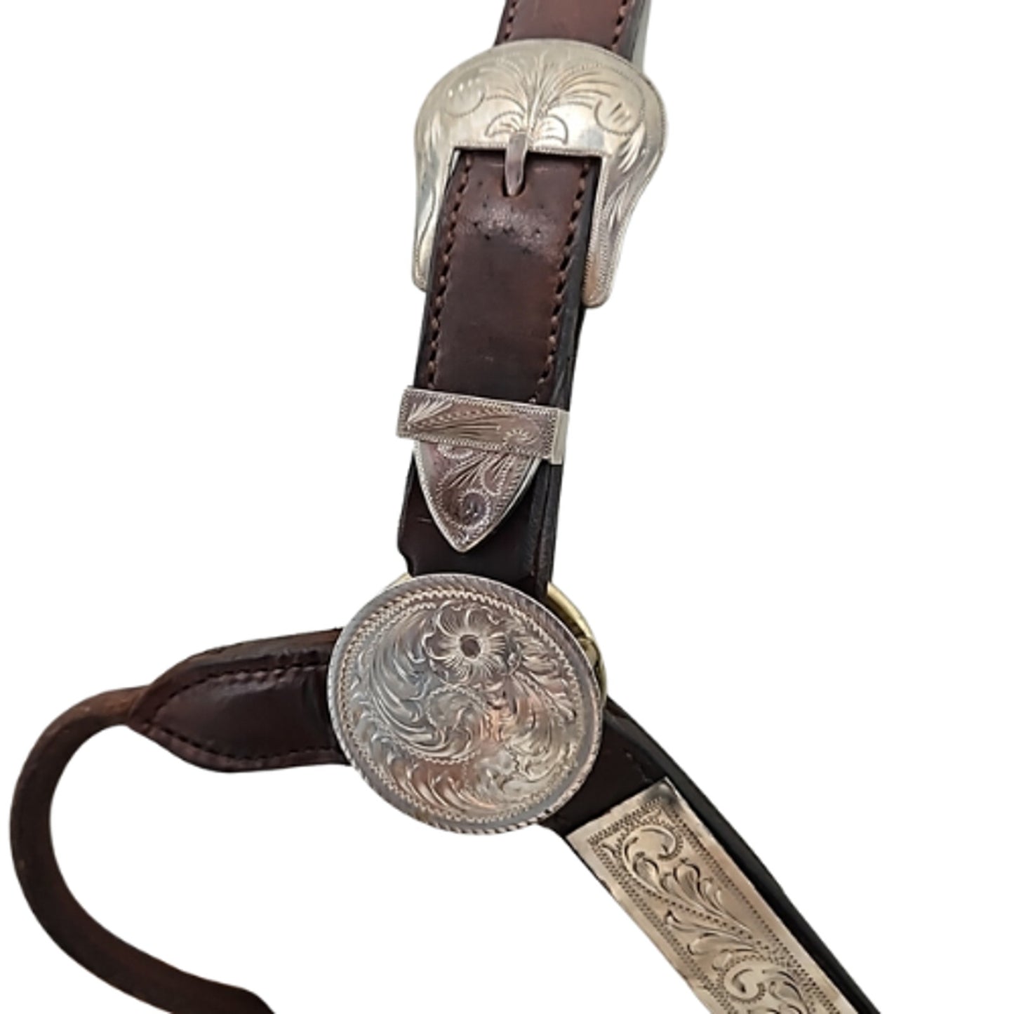 Circle Y Western Silver Show Halter #602 Average Horse Size