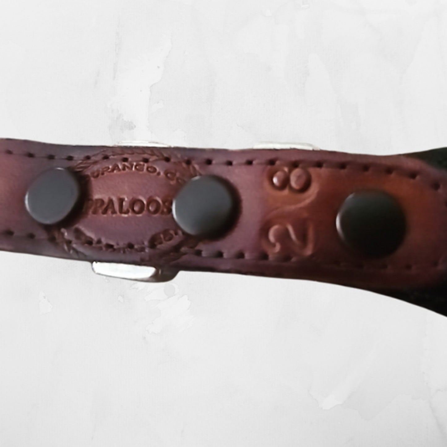 Appaloosa Trading Company Genuine Leather Belt Horses Conchos Size 28