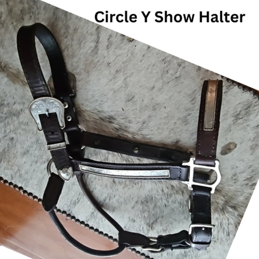 Circle Y Silver Show Halter Horse Size Dark Oil USED