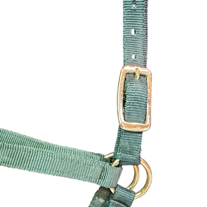 Cressline Nylon Yearling Halter New Old Stock Green