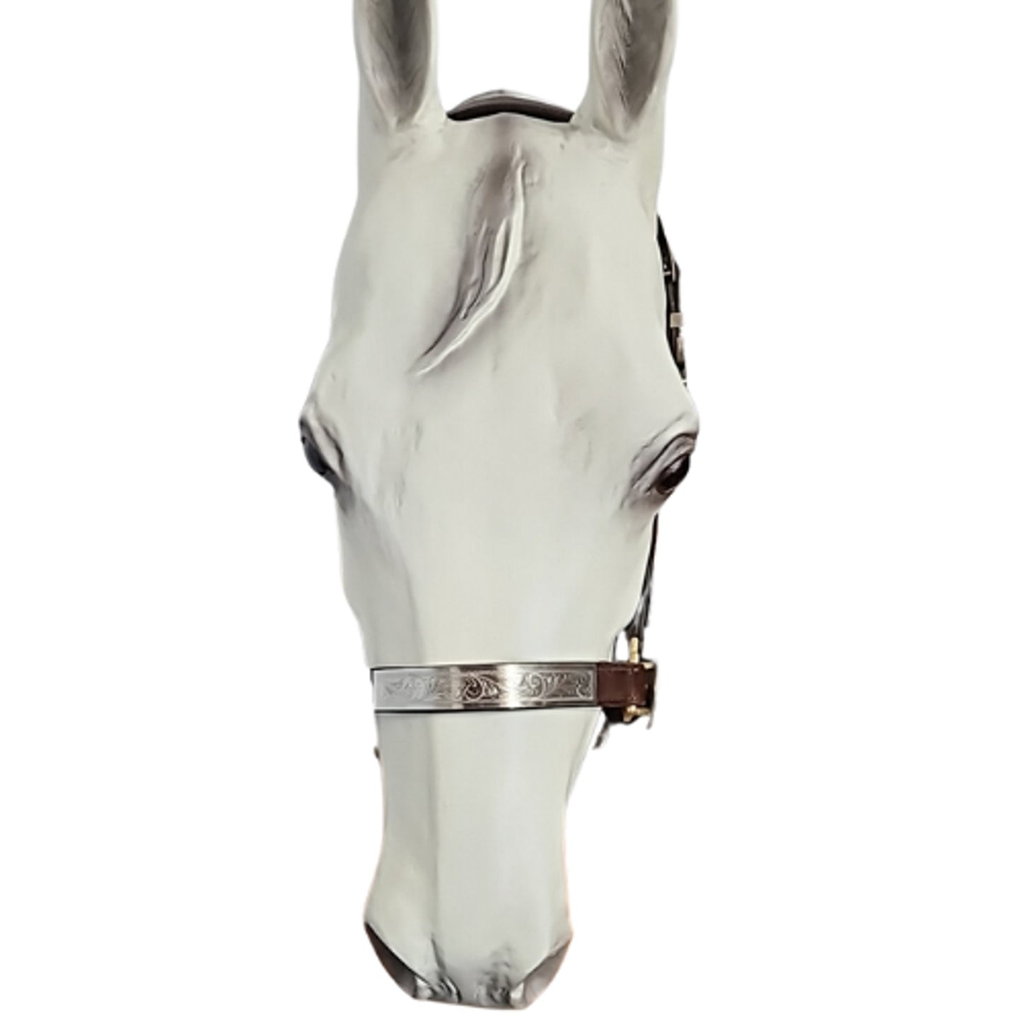Circle Y Western Silver Show Halter #602 Average Horse Size