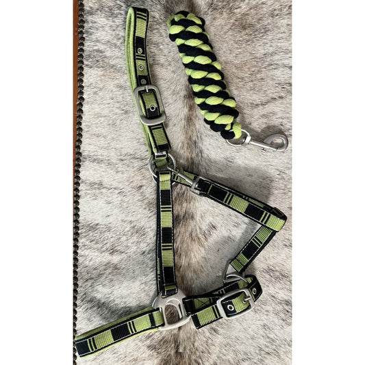 Green Black Check Nylon Halter and Lead Cob Size NEW