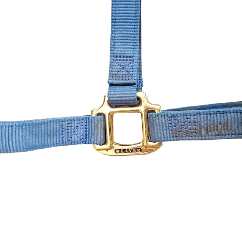Weaver Large Pony Small Horse Blue Nylon Halter